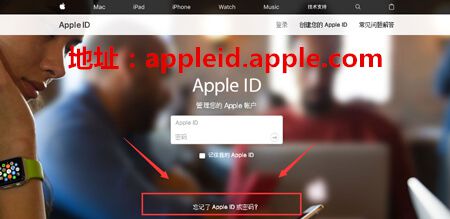 忘记了Apple ID或密码