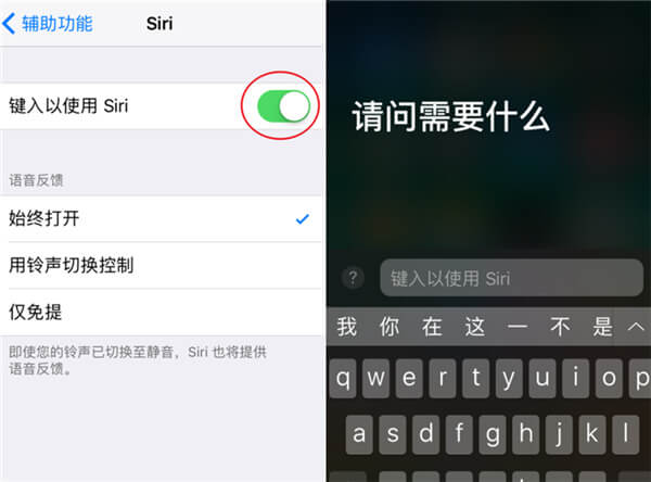 键入以使用Siri