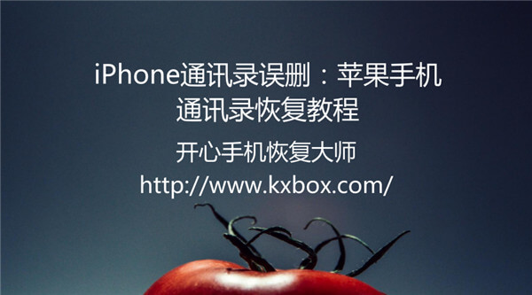 iPhone通讯录误删怎么恢复