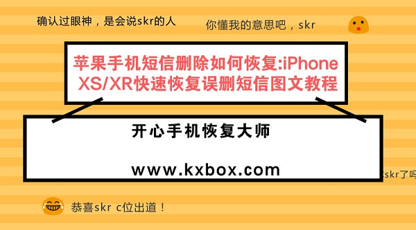 苹果手机短信删除如何恢复:iPhone XS/XR快速恢复误删短信图文教程