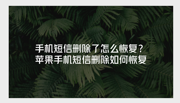 手机短信删除了怎么恢复？苹果手机短信删除如何恢复