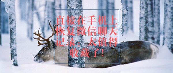 直接在手机上恢复微信聊天记录：太值得收藏了!